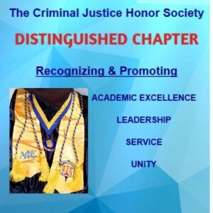 Alpha Phi Sigma 5' X 2' Retractable Banner - Triangles