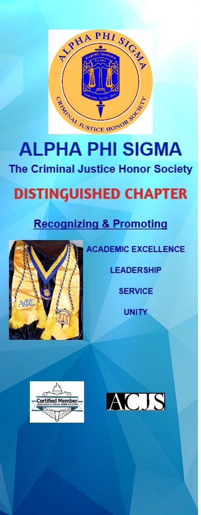 Alpha Phi Sigma 5' X 2' Retractable Banner - Triangles