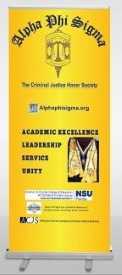 APS 6' X 2.5' Retractable Banner - Gold
